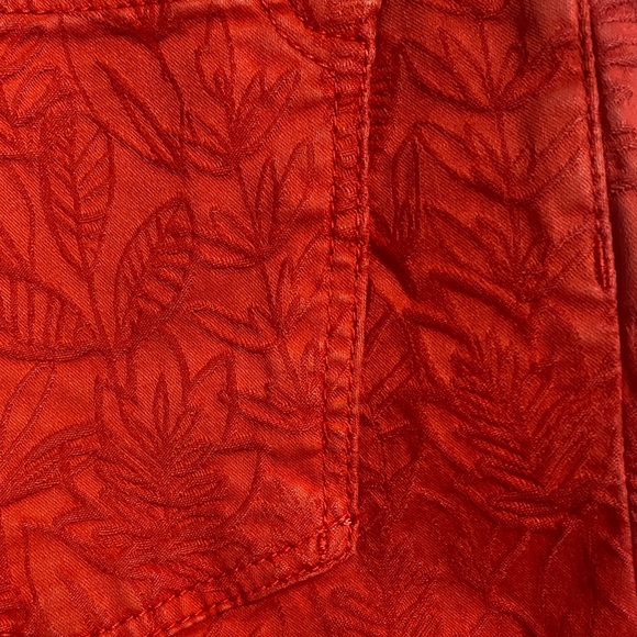 Pilcro and the Letterpress Scarlet Leaf Patterned Pants - Picture 3 of 6